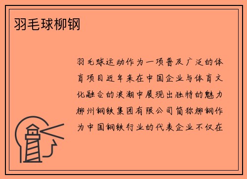 羽毛球柳钢